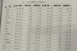 中国车企出海，初出茅庐？