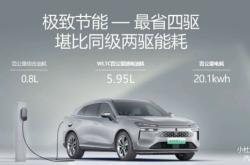 魏牌摩卡Hi4正式发布 搭载1.5T插混