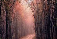 岚图泰山上市 售价为37.99-45.99万